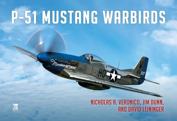 Vojacke vtáky P-51 Mustang - P-51 Mustang Warbirds