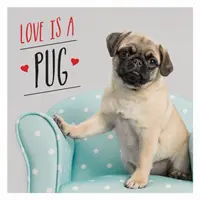 Láska je mopslík - mopslíkovská oslava najroztomilejších psov na svete - Love is a Pug - A Pugtastic Celebration of The World's Cutest Dogs