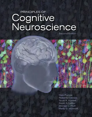 Princípy kognitívnej neurovedy - Principles of Cognitive Neuroscience