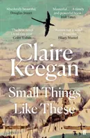 Takéto malé veci - v užšom výbere na Bookerovu cenu 2022 - Small Things Like These - Shortlisted for the Booker Prize 2022