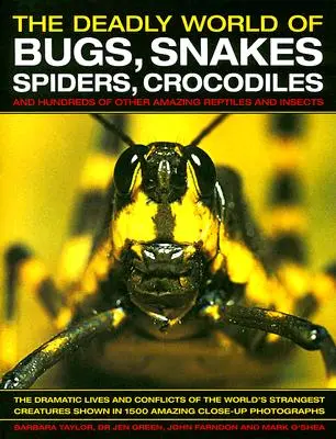 Smrtiaci svet chrobákov, hadov, pavúkov, krokodílov: A stovky ďalších úžasných plazov a hmyzu - The Deadly World of Bugs, Snakes, Spiders, Crocodiles: And Hundreds of Other Amazing Reptiles and Insects