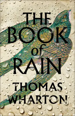 Kniha o daždi - Book of Rain