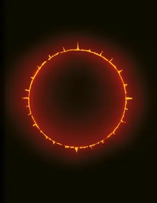 Temná izba - Dark Room