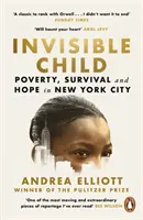 Neviditeľné dieťa - nositeľ Pulitzerovej ceny za literatúru faktu 2022 - Invisible Child - Winner of the Pulitzer Prize in Nonfiction 2022