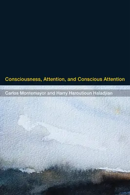 Vedomie, pozornosť a vedomá pozornosť - Consciousness, Attention, and Conscious Attention