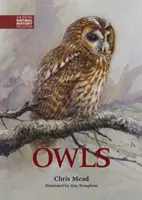 Sovy - Owls
