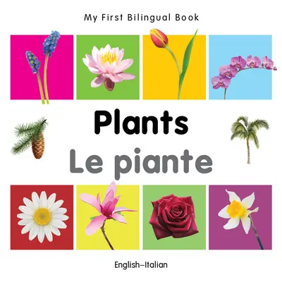 Moja prvá dvojjazyčná kniha - rastliny (anglicko-italská) - My First Bilingual Book-Plants (English-Italian)