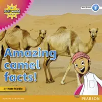Môj svet v zálive a ja Čítanka literatúry faktu 3. úrovne: Úžasné fakty o ťavách! - My Gulf World and Me Level 3 non-fiction reader: Amazing camel facts!