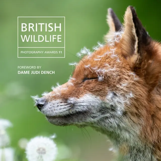 Britské ceny za fotografiu divokej prírody 2023 - British Wildlife Photography Awards 2023
