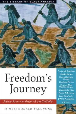 Cesta slobody: Hlasy Afroameričanov v občianskej vojne - Freedom's Journey: African American Voices of the Civil War