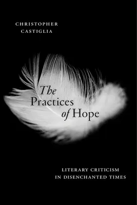 Prax nádeje: Literárna kritika v rozčarovanej dobe - The Practices of Hope: Literary Criticism in Disenchanted Times