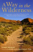 Cesta na púšti - komentár k Benediktovej regule pre telesne a duchovne uväznených - Way in the Wilderness - A Commentary on the Rule of Benedict for the Physically and Spiritually Imprisoned