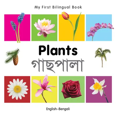 Moja prvá dvojjazyčná kniha - rastliny (anglicko-bengálsky) - My First Bilingual Book-Plants (English-Bengali)