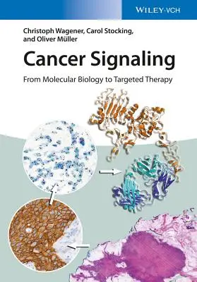 Cancer Signaling: Od molekulárnej biológie k cielenej terapii - Cancer Signaling: From Molecular Biology to Targeted Therapy