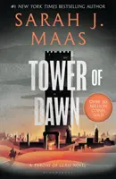 Veža úsvitu - od autorky bestselleru Sunday Times č. 1 Dvor tŕňov a ruží - Tower of Dawn - From the # 1 Sunday Times best-selling author of A Court of Thorns and Roses