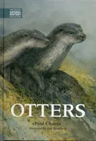 Vydry - Otters