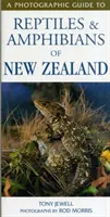 Fotografický sprievodca plazmi a obojživelníkmi Nového Zélandu - Photographic Guide To Reptiles & Amphibians Of New Zealand