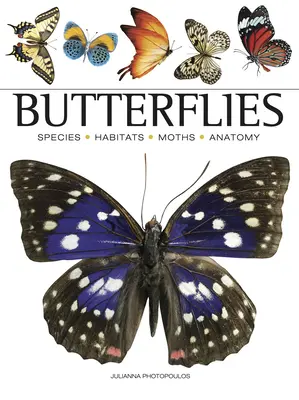 Motýle - Butterflies