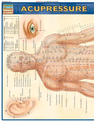Akupresúra - Acupressure