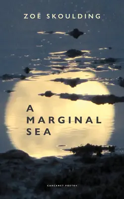 Okrajové more - A Marginal Sea