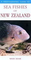Fotografický sprievodca morskými rybami Nového Zélandu - Photographic Guide To Sea Fishes Of New Zealand