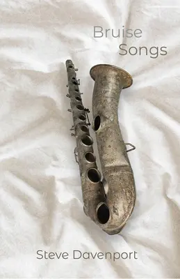 Piesne o modrinách - Bruise Songs