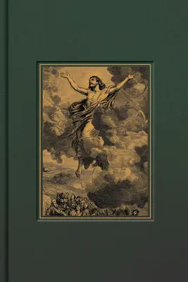 CSB Adorned Bible, Forest Cloth-Over-Board