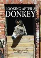 Starostlivosť o osla - Looking After a Donkey