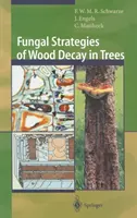 Hubové stratégie rozkladu dreva na stromoch - Fungal Strategies of Wood Decay in Trees