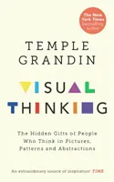 Vizuálne myslenie - Skryté dary ľudí, ktorí myslia v obrazoch, vzoroch a abstrakciách - Visual Thinking - The Hidden Gifts of People Who Think in Pictures, Patterns and Abstractions