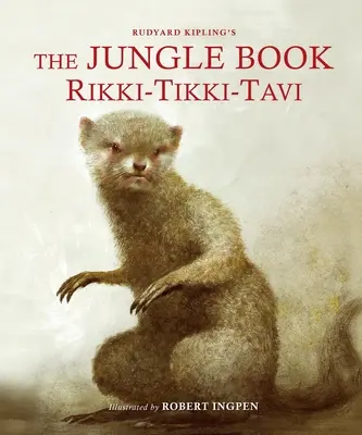 Kniha džunglí: Rikki-Tikki-Tavi: Ilustrovaná klasika Roberta Ingpena - The Jungle Book: Rikki-Tikki-Tavi: A Robert Ingpen Illustrated Classic