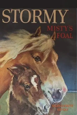 Stormy, Mistyino žriebä - Stormy, Misty's Foal