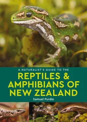 Príručka prírodovedca o plazoch a obojživelníkoch Nového Zélandu - A Naturalist's Guide to the Reptiles & Amphibians of New Zealand