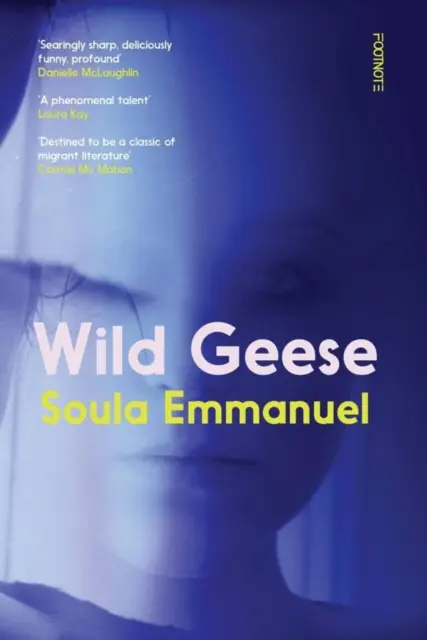 Divoké husi - Wild Geese