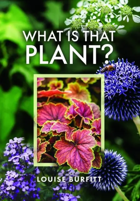 Čo je to za rastlinu? - What Is That Plant?