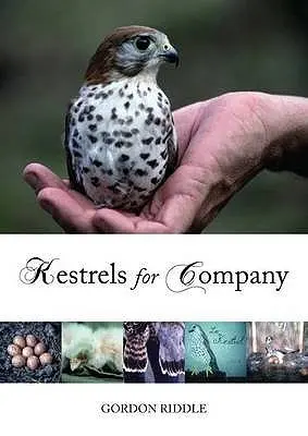 Poštolky pre spoločnosť - Kestrels for Company