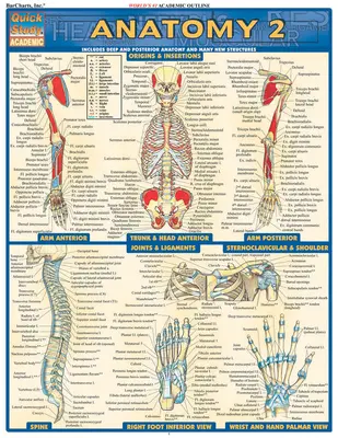 Anatómia 2 - referenčná príručka - Anatomy 2 - Reference Guide