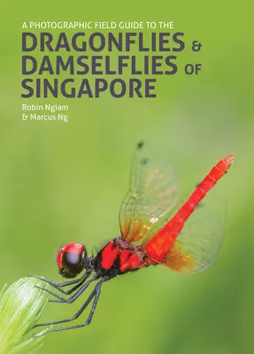 Fotografický terénny sprievodca vážkami a vážkami Singapuru - A Photographic Field Guide to the Dragonflies & Damselflies of Singapore
