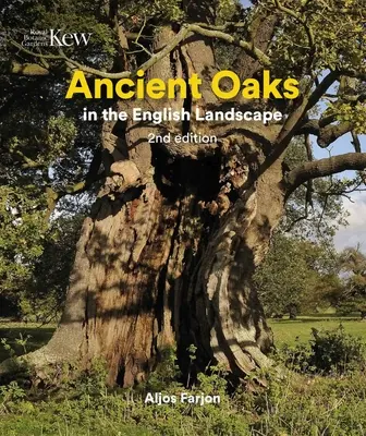 Starobylé duby v anglickej krajine - Ancient Oaks in the English Landscape
