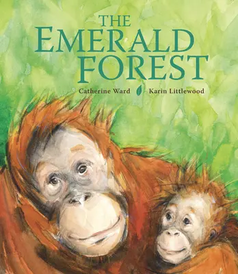 Smaragdový les - The Emerald Forest