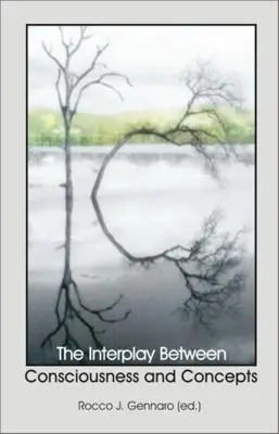 Interakcia medzi vedomím a koncepciami - Interplay Between Consciousness and Concepts