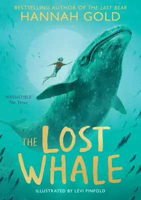 Stratená veľryba - Lost Whale