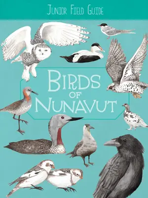 Juniorský terénny sprievodca: Vtáky Nunavutu: Vydanie v angličtine: Nunutunatubus: Junior: Nunutunatubus: 1. - Junior Field Guide: Birds of Nunavut: English Edition