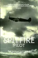 Pilot Spitfire - Spitfire Pilot