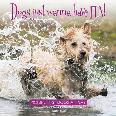 Psy sa chcú len zabávať! - Predstavte si to: Psy sa hrajú - Dogs just wanna have FUN! - Picture this: Dogs at Play
