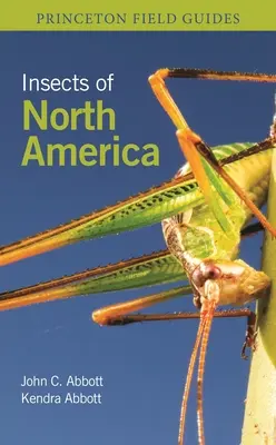 Hmyz Severnej Ameriky - Insects of North America