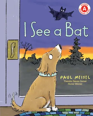 Vidím netopiera - I See a Bat