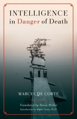 Inteligencia v ohrození života (anglické vydanie) - Intelligence in Danger of Death (English edition)