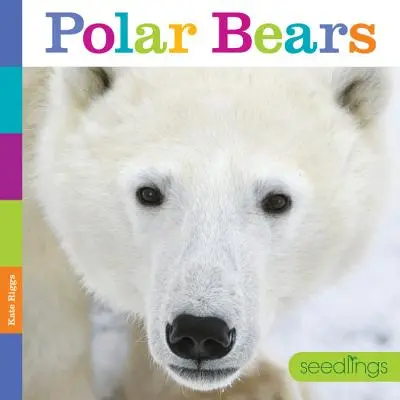 Sadenice: Ľadové medvede - Seedlings: Polar Bears