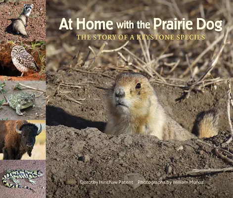 Doma s prériovým psom: Príbeh kľúčového druhu - At Home with the Prairie Dog: The Story of a Keystone Species